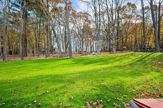 70 Princeton St, Holden, MA 01522 - view of green lawn
