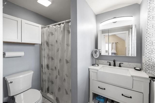 bathroom featuring vanity, toilet, and a shower with shower curtain