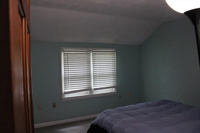 139 Wellman Ave Unit 139, Chelmsford, MA 01863 - bedroom featuring lofted ceiling and carpet floors
