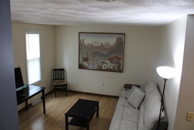 139 Wellman Ave Unit 139, Chelmsford, MA 01863 - living room featuring wood finished floors and a textured ceiling