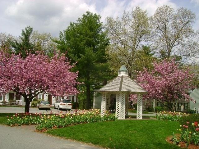 139 Wellman Ave Unit 139, Chelmsford, MA 01863 - view of community with a gazebo and a lawn