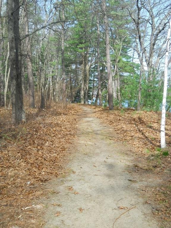 139 Wellman Ave Unit 139, Chelmsford, MA 01863 - view of road with a view of trees
