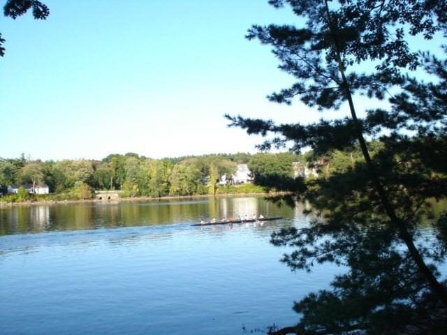 139 Wellman Ave Unit 139, Chelmsford, MA 01863 - water view featuring a forest
