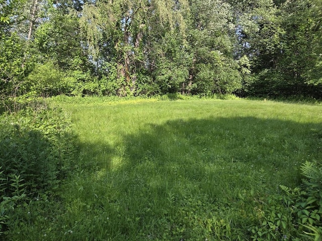 417 Bigelow St, Marlborough, MA 01752 - view of yard with a view of trees