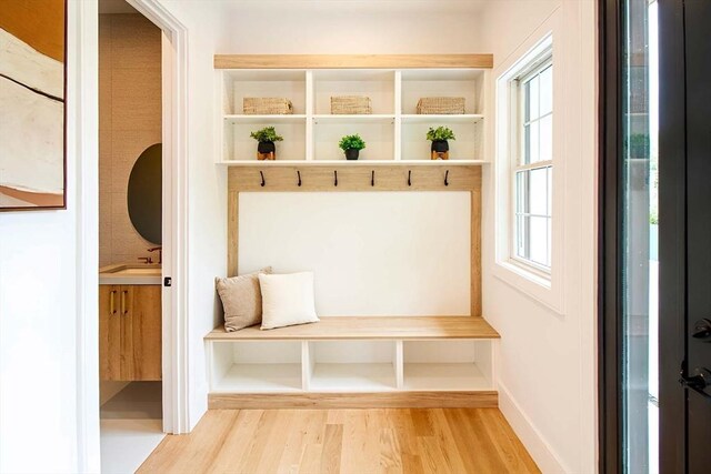 276-278 Nevada Unit 276, Newton, MA 02460 - mudroom featuring wood finished floors and plenty of natural light