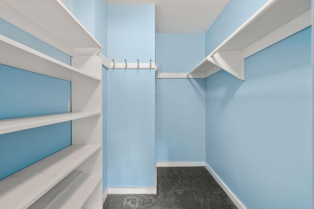 walk in closet with carpet flooring