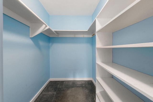 spacious closet featuring carpet floors