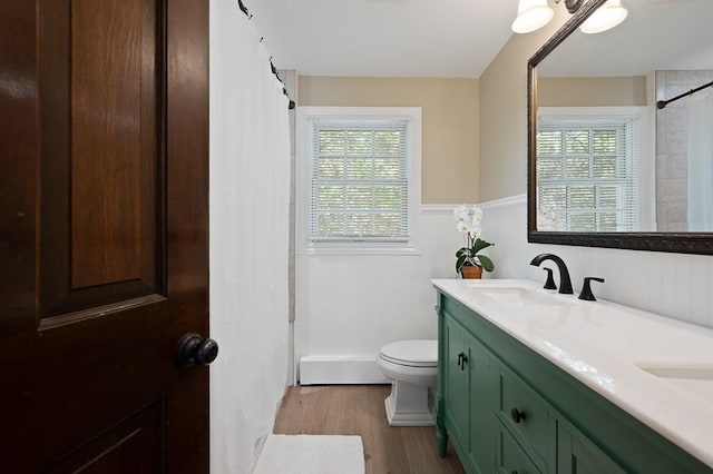 3 Squantum Rd, Paxton, MA 01612 - bathroom with double vanity, toilet, wood finished floors, curtained shower, and wainscoting
