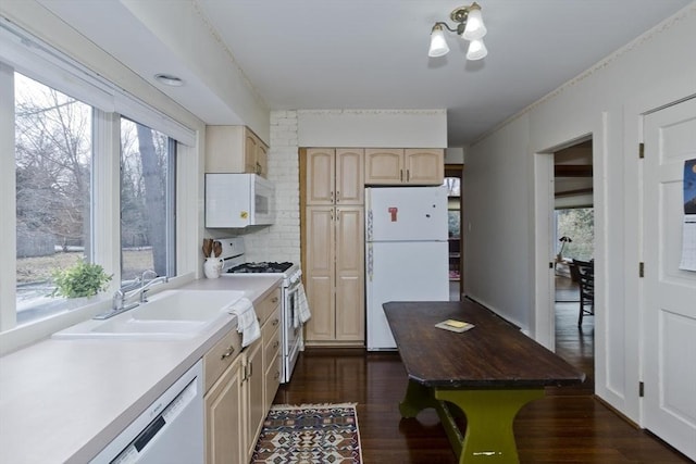 kitchen with light brown cabinetry, a sink, dark wood finished floors, white appliances, and a healthy amount of sunlight