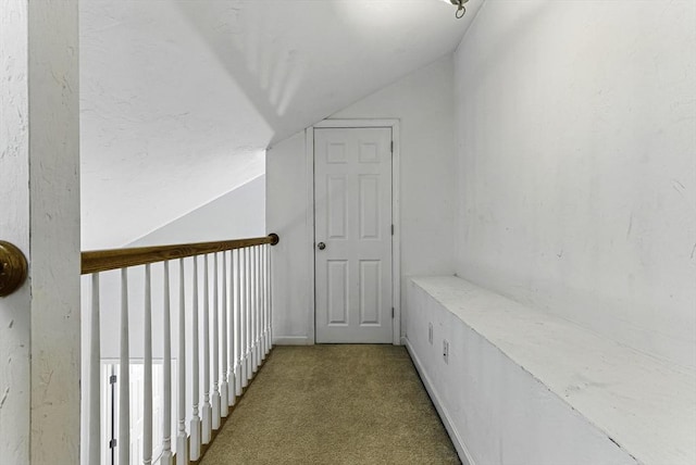 15 Queen Isabella Way Unit 15, Ashland, MA 01721 - hall with vaulted ceiling and carpet flooring