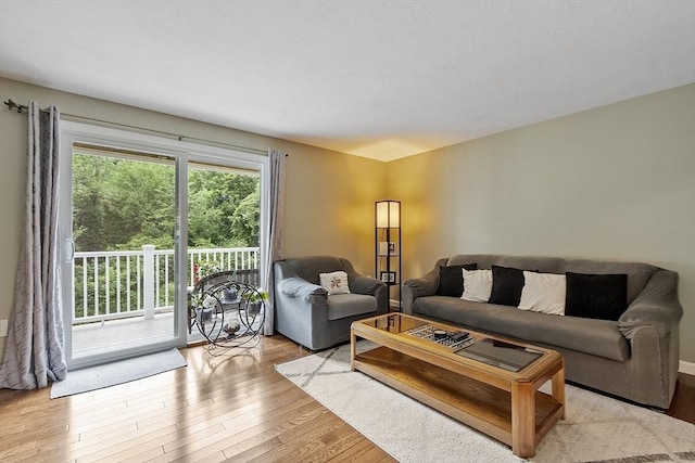 127 Bayberry Hill Ln Unit 127, Leominster, MA 01453 - living room featuring light wood-style floors