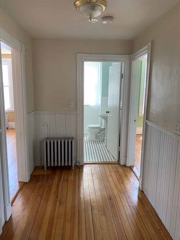 hall with plenty of natural light, light wood-type flooring, and radiator