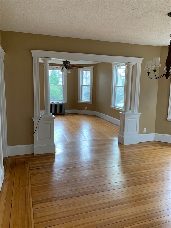 unfurnished room with light wood-type flooring, a textured ceiling, and a wealth of natural light