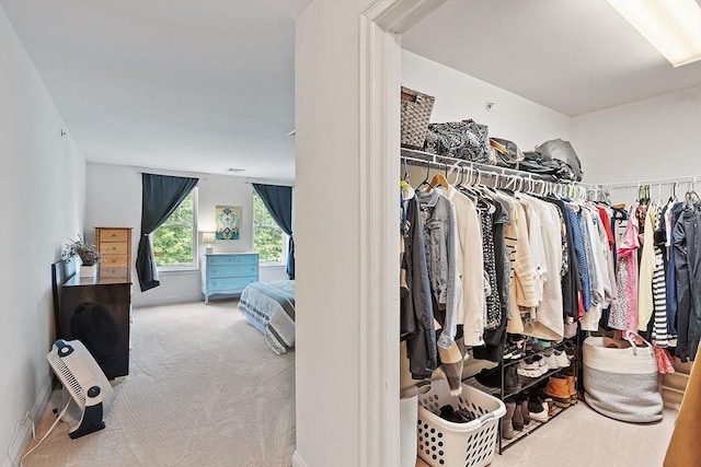 1818 Main St Unit 307, Holden, MA 01522 - walk in closet featuring carpet flooring