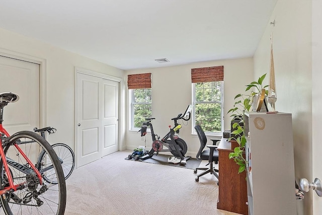 1818 Main St Unit 307, Holden, MA 01522 - workout area with carpet flooring and baseboards