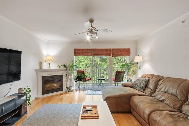 1818 Main St Unit 307, Holden, MA 01522 - living area featuring a ceiling fan, wood finished floors, crown molding, and a glass covered fireplace