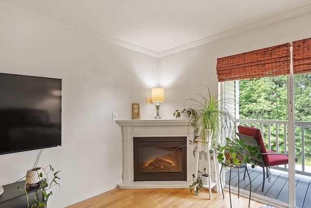 1818 Main St Unit 307, Holden, MA 01522 - living area with wood finished floors, a glass covered fireplace, ornamental molding, and baseboards