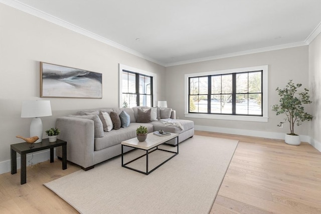 living room with ornamental molding and hardwood / wood-style floors