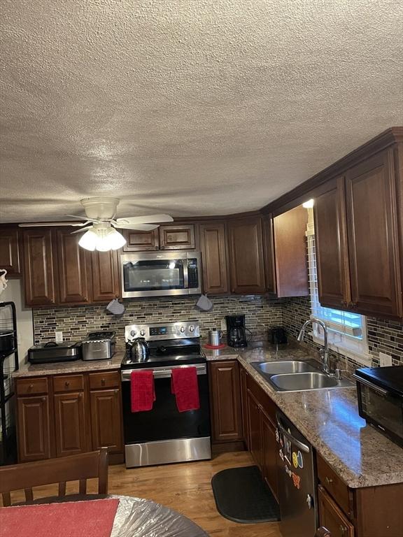 kitchen featuring tasteful backsplash, sink, ceiling fan, light hardwood / wood-style floors, and stainless steel appliances