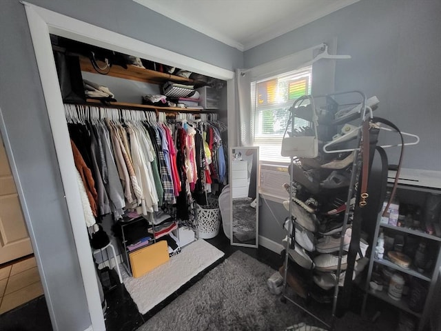 39 Cheever Rd, Malden, MA 02148 - view of spacious closet