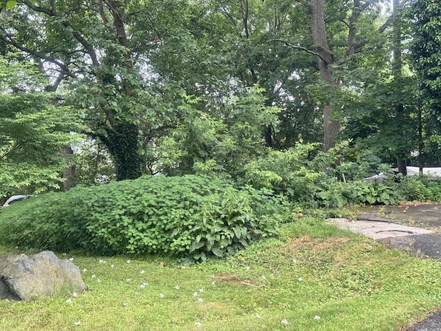 39 Cheever Rd, Malden, MA 02148 - view of yard