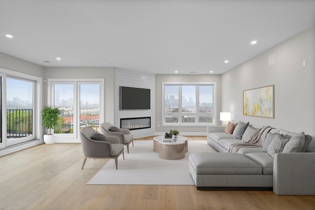 living room featuring plenty of natural light, light hardwood / wood-style flooring, and a fireplace