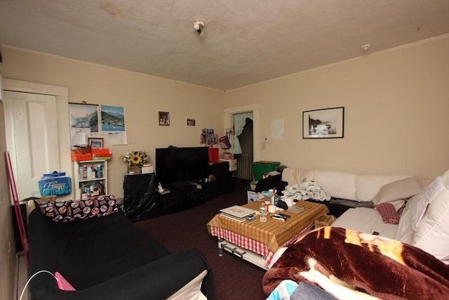 living room with radiator heating unit and a textured ceiling