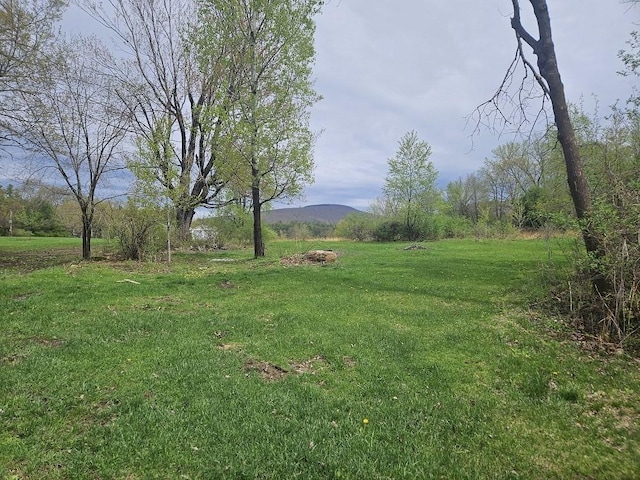 462 Henderson Rd, Williamstown, MA 01267