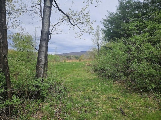 462 Henderson Rd, Williamstown, MA 01267