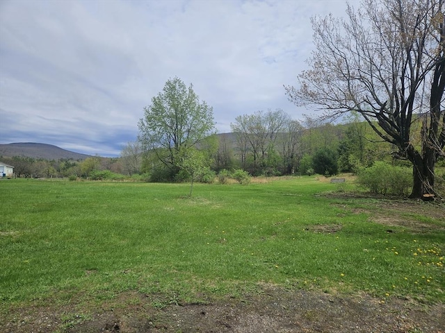 462 Henderson Rd, Williamstown, MA 01267