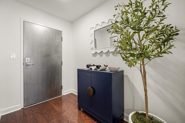 entryway featuring dark wood-type flooring