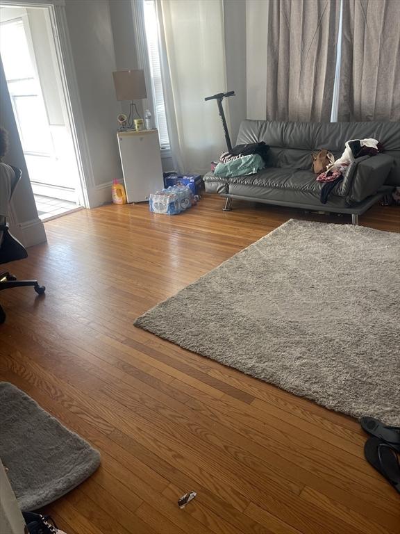 living room featuring hardwood / wood-style floors