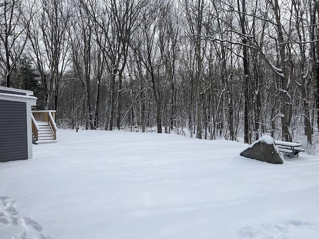 view of yard covered in snow