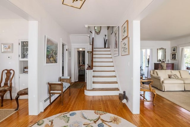 entrance foyer with wood-type flooring