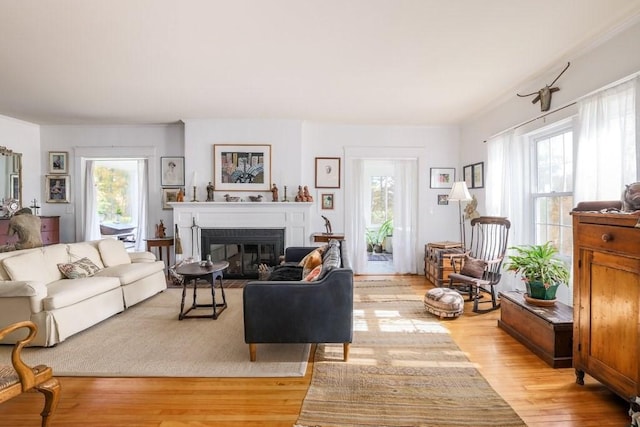 living room with plenty of natural light and light wood-type flooring