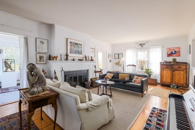 living room with light hardwood / wood-style floors