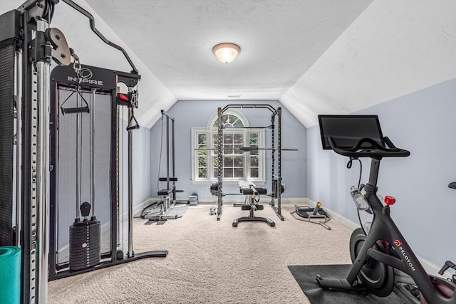 14 Glen Rd, Hopkinton, MA 01748 - workout area with vaulted ceiling and carpet flooring