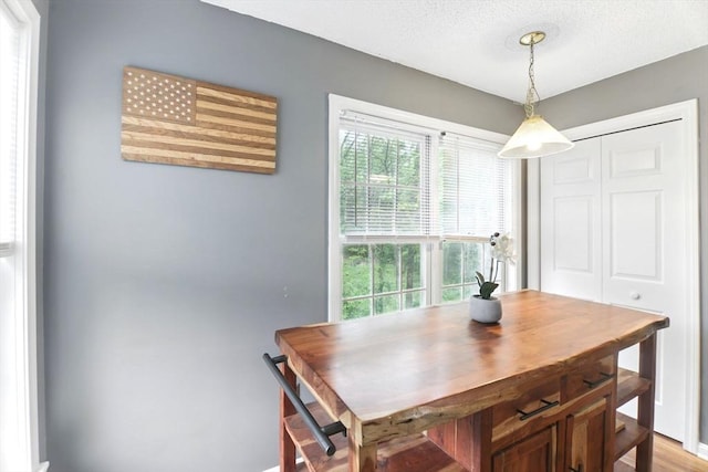 59 Castlegate Dr Unit B, Springfield, MA 01129 - dining room with a textured ceiling