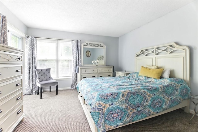 59 Castlegate Dr Unit B, Springfield, MA 01129 - bedroom with carpet floors, a textured ceiling, and baseboards