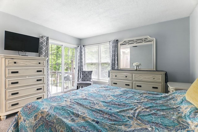59 Castlegate Dr Unit B, Springfield, MA 01129 - bedroom with access to exterior and a textured ceiling