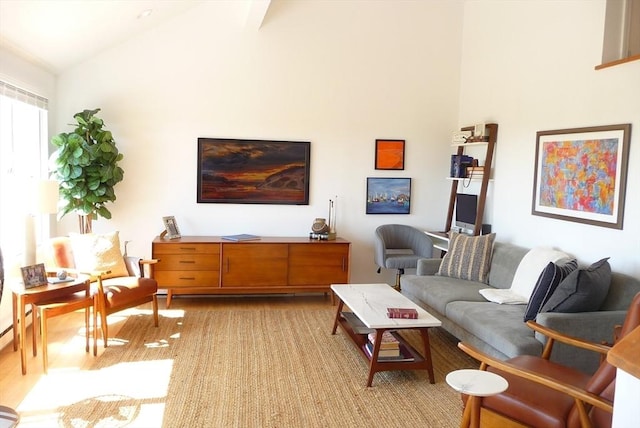 living room with lofted ceiling