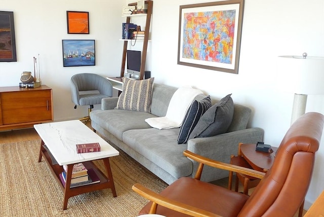 living room with wood-type flooring