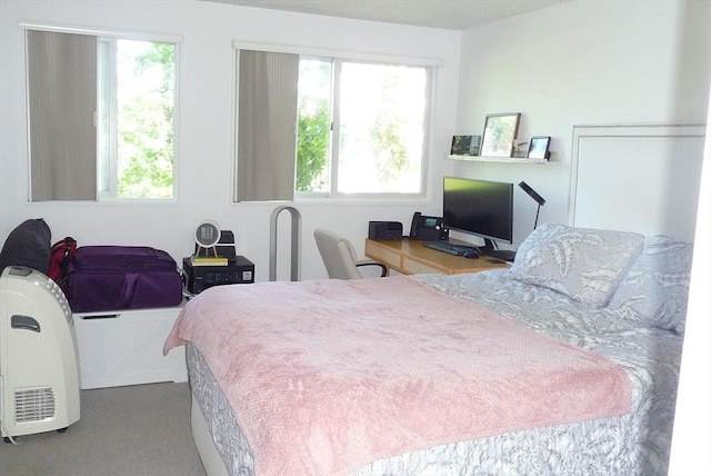 carpeted bedroom with multiple windows