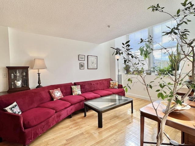 living room featuring a textured ceiling and light hardwood / wood-style flooring