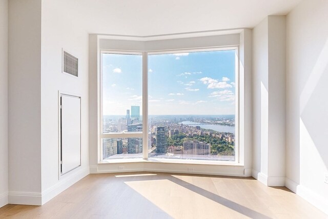 unfurnished room featuring a wealth of natural light and light hardwood / wood-style floors