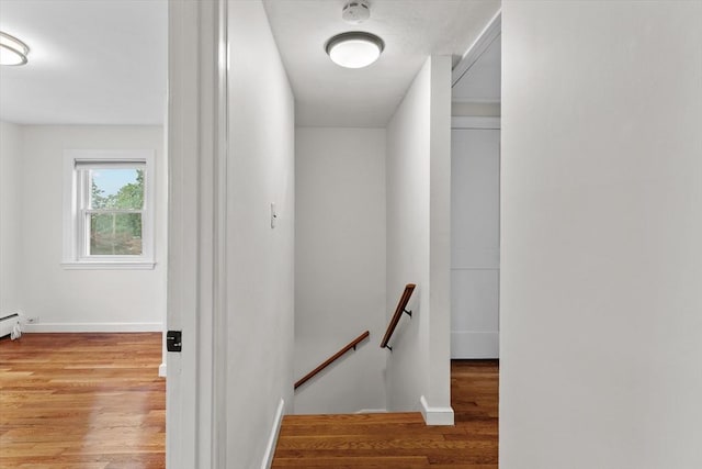 10 Highfield Ter, Boston, MA 02131 - staircase featuring wood finished floors