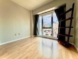 unfurnished room featuring light hardwood / wood-style floors