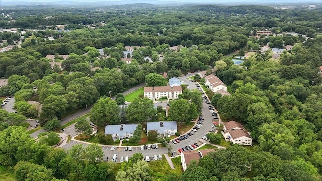49 Village Brook Ln Unit 2, Natick, MA 01760 - drone / aerial view of a forest