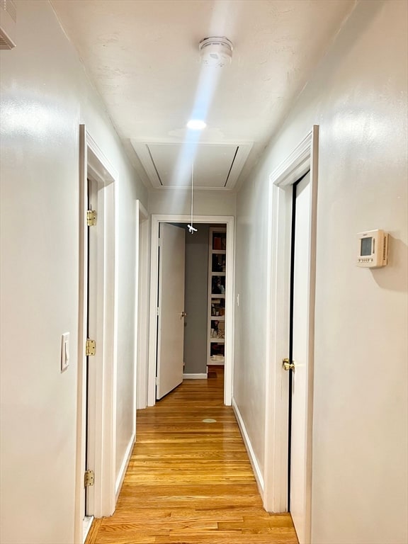 hall featuring light hardwood / wood-style floors