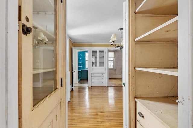 spacious closet featuring light wood-style flooring